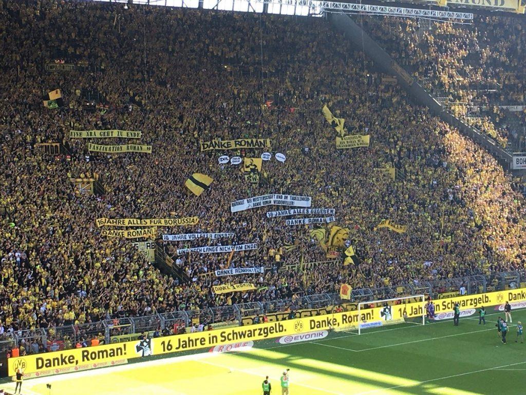 BVB fani