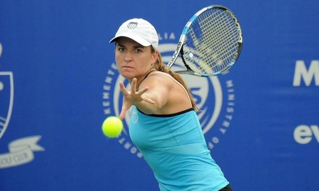 Dulgheru