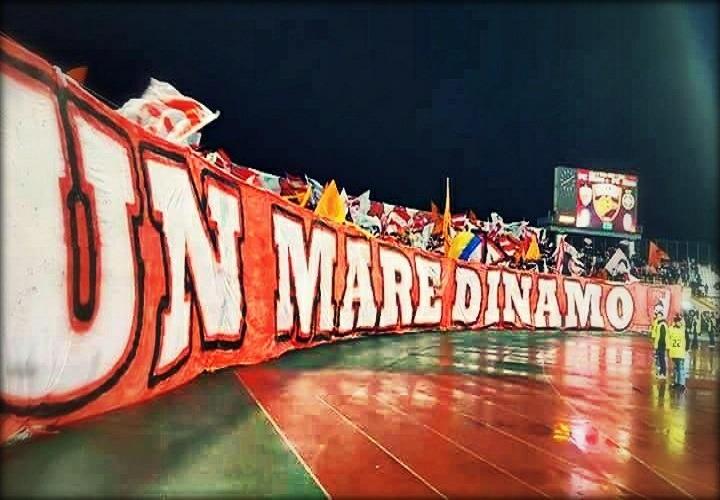 dinamo