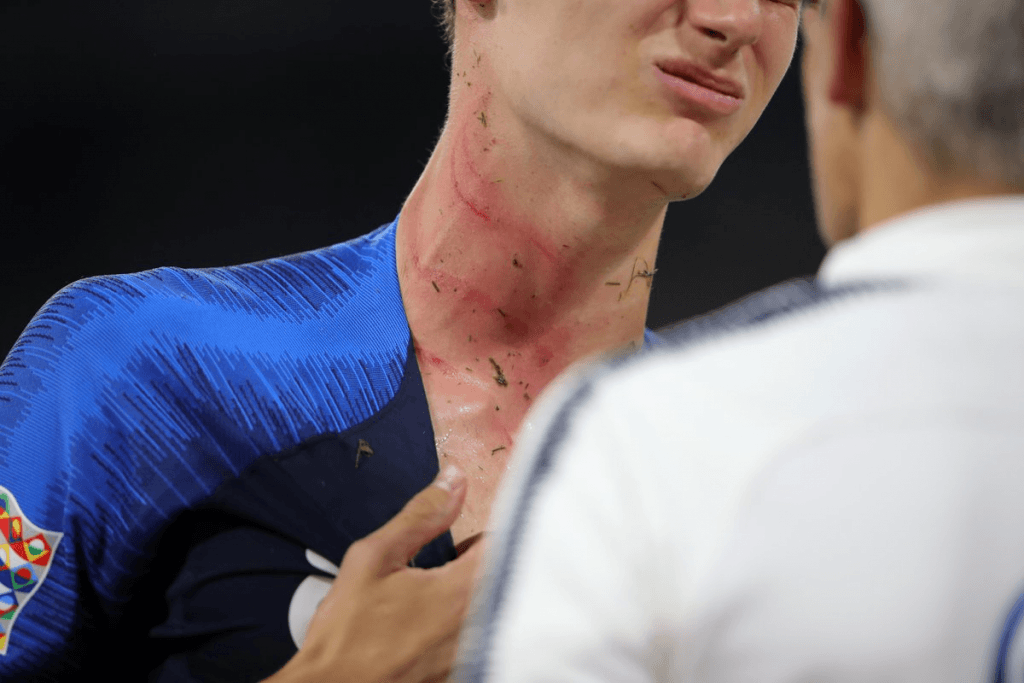 pavard