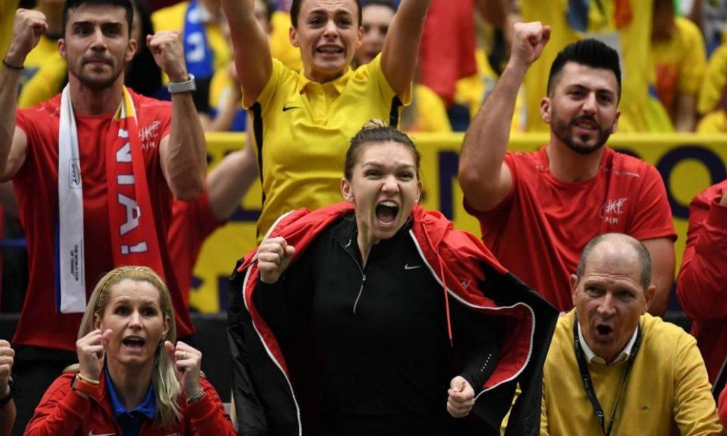 Halep Fed Cup
