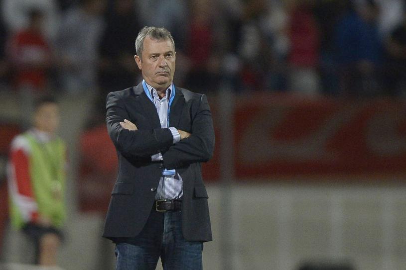 mircea rednic