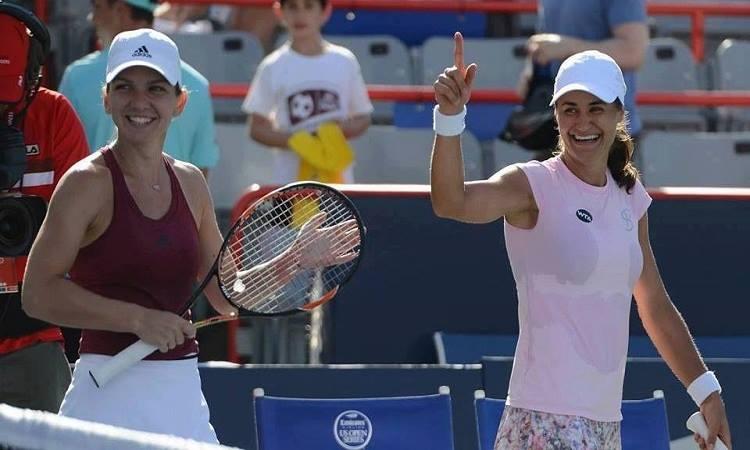 halep-niculescu-micsorat