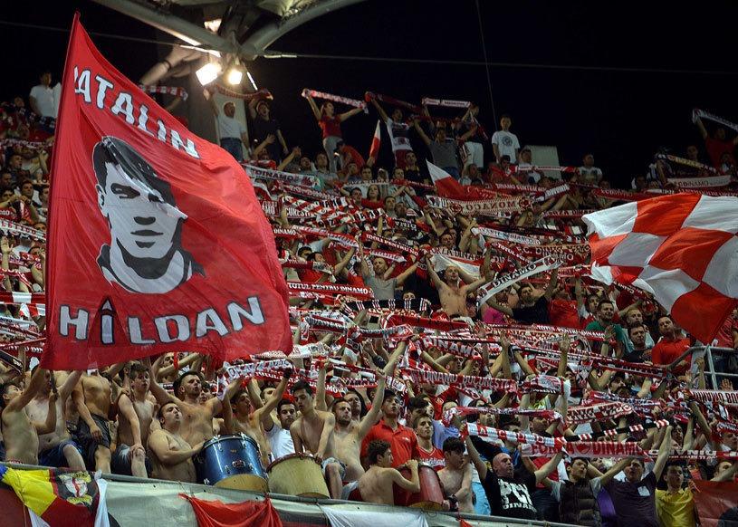 fani dinamo