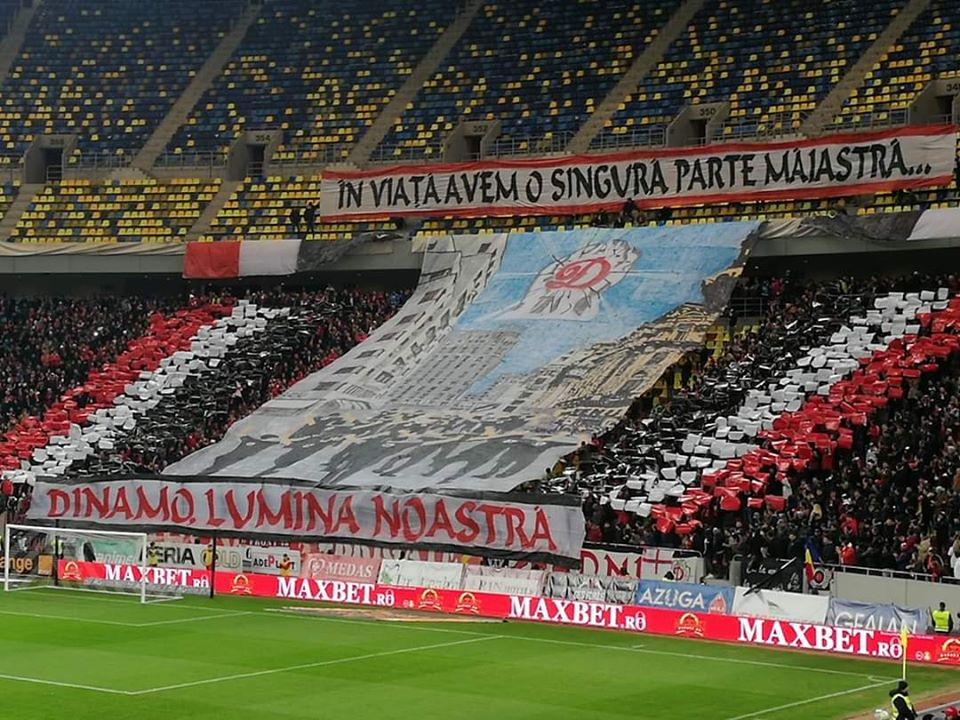 dinamo fani