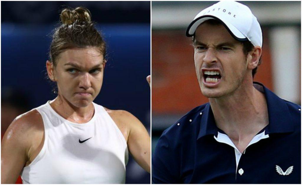 halep-murray