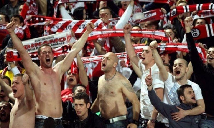 fani dinamo