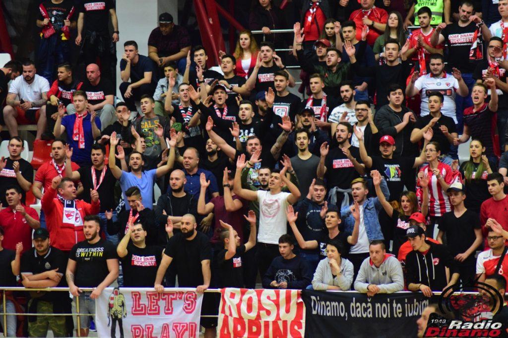 fani dinamo