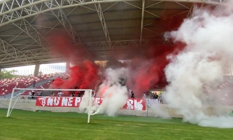 fani uta arad