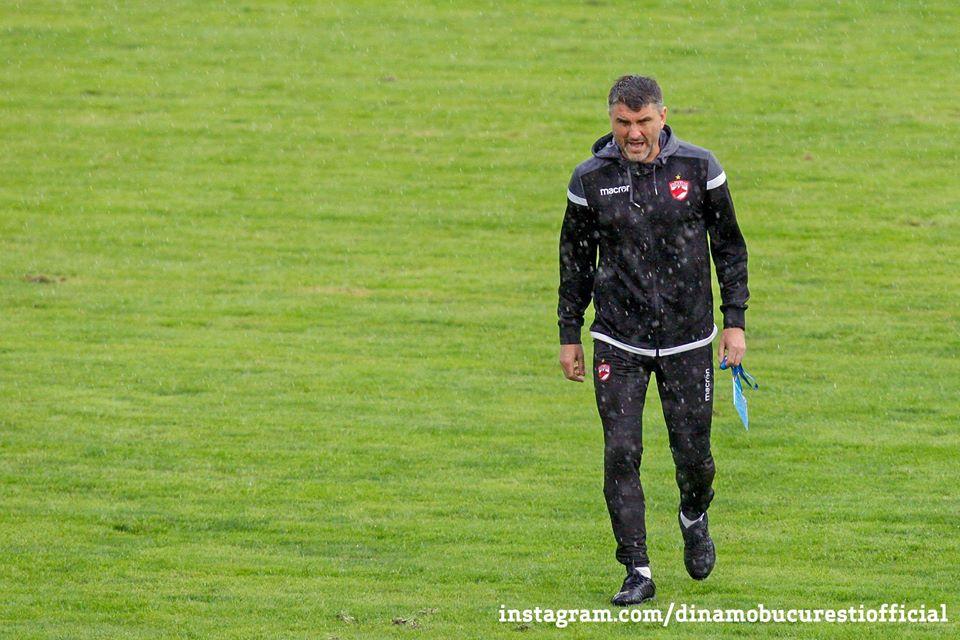 adi mihalcea nervos