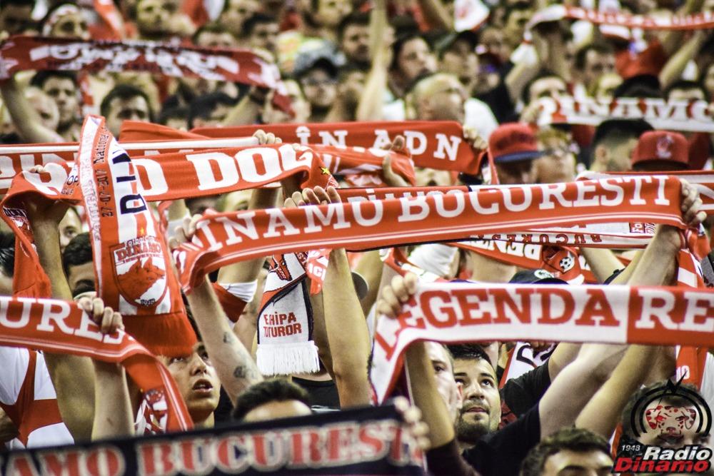 dinamo