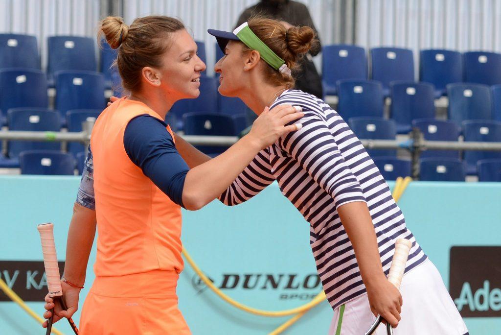 halep begu