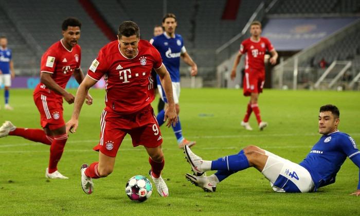 bayern schalke