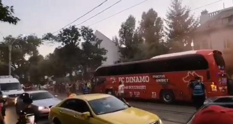 fani-dinamo