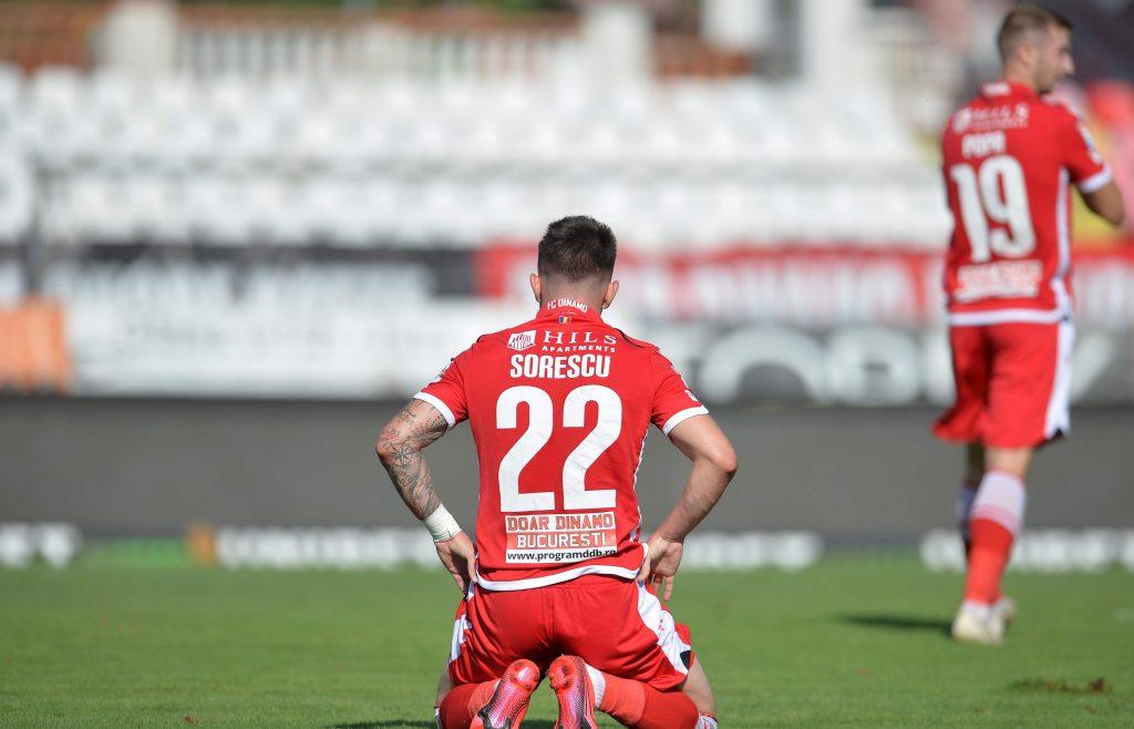 dinamo