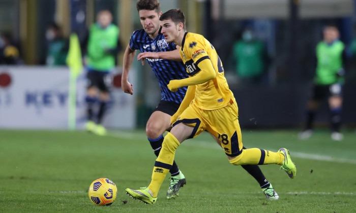 Mihaila parma