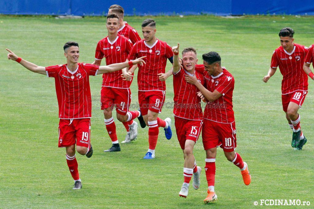 dinamo