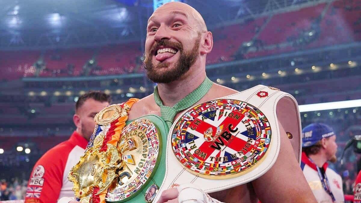 Tyson Fury a disputat 33 de meciuri la profeniosim, obținând 32 de victorii și o remiză. Pe 28 noiemb rie 2015 l-a învins pe celebrul Wladimir Klitschko prin decizie unanimă