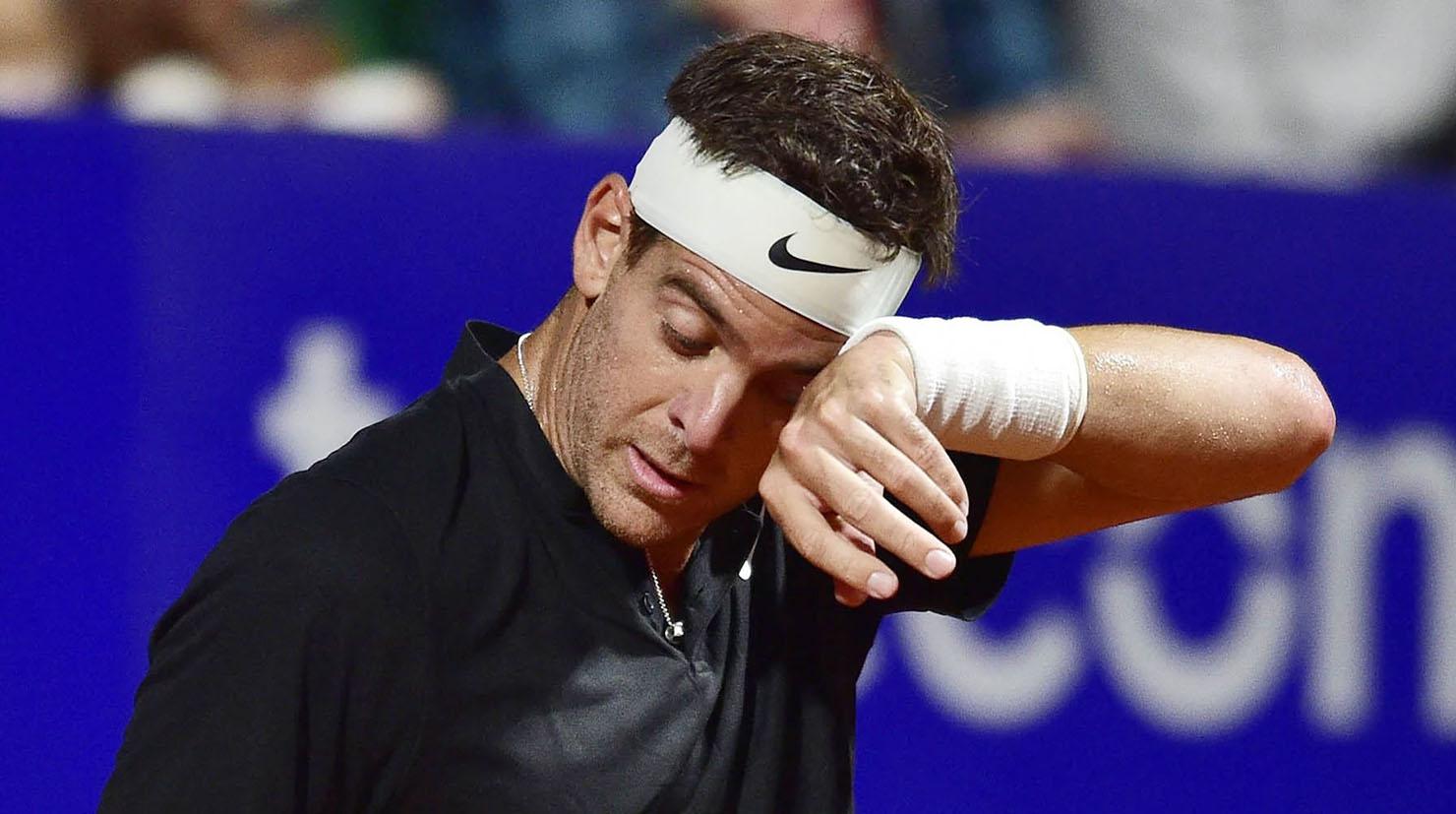 Juan Martin del Potro