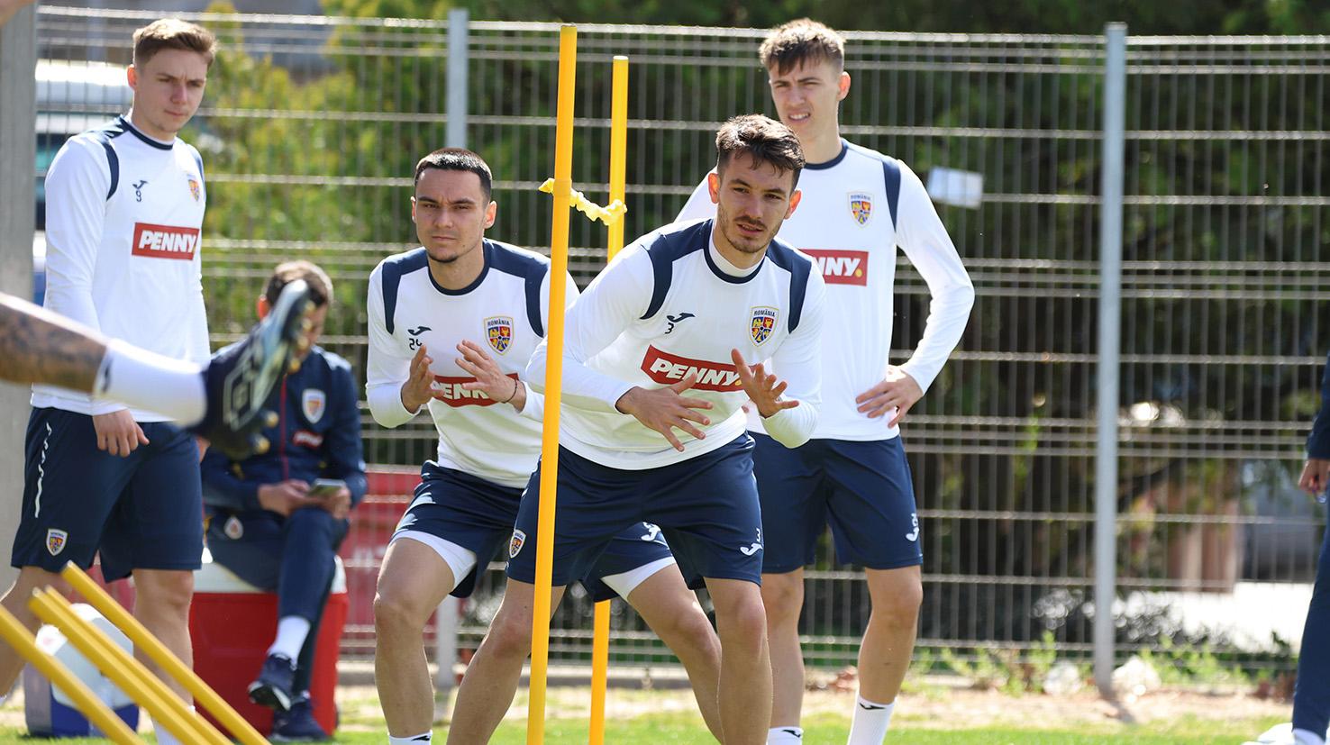 Adrian Șut