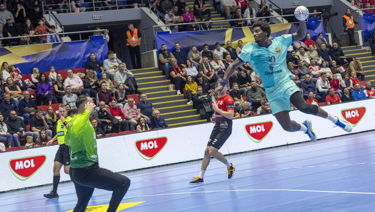 Dinamo handbal