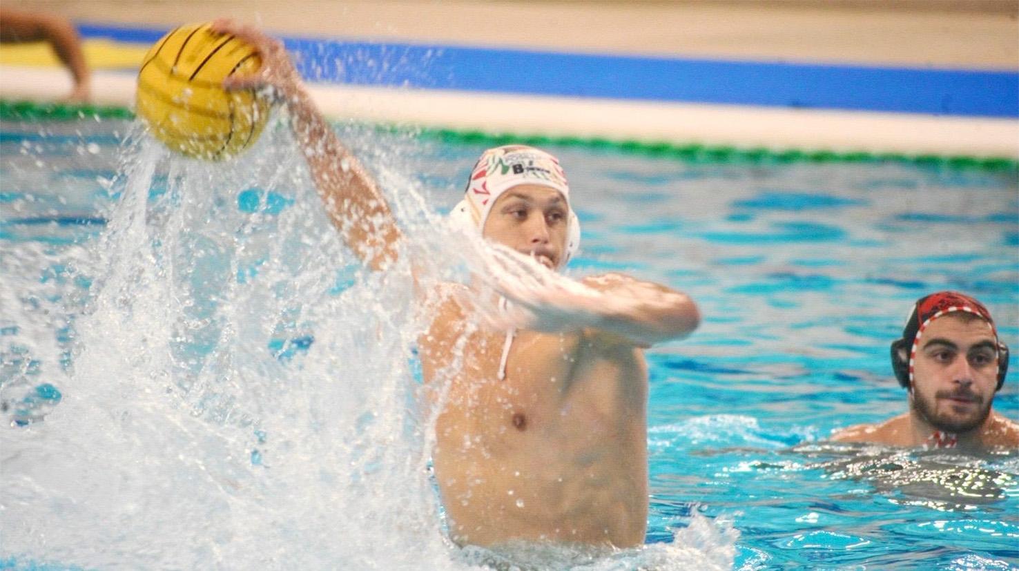 Dinamo polo