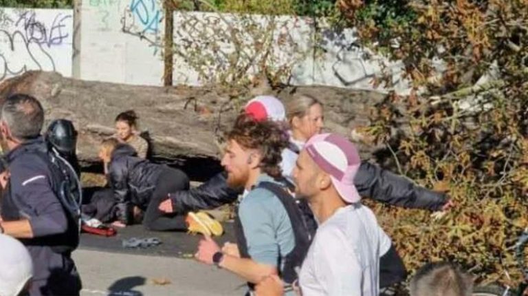 Un copac s-a prăbuşit şi a rănit un alergător la maratonul din Lille